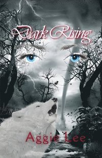 bokomslag Dark Rising