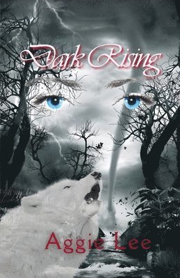 Dark Rising 1