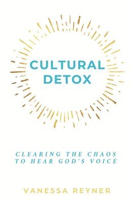 bokomslag Cultural Detox