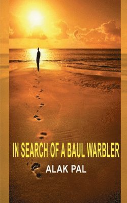 In Search of a Baul Warbler: A Metaphor for Reflection 1