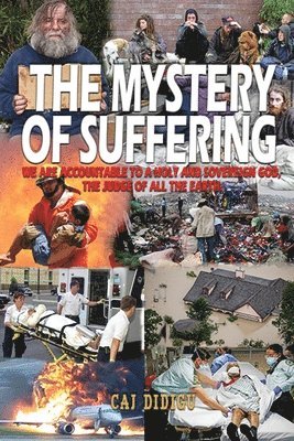 The Mystery of Suffering 1