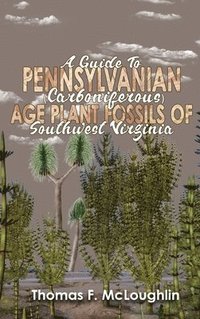 bokomslag A Guide to Pennsylvanian (Carboniferous) Age Plant Fossils of Southwest Virginia