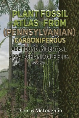 bokomslag Plant Fossil Atlas From (Pennsylvanian) Carboniferous Age Found in Central Appalachian Coalfields Volume 1