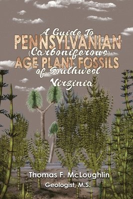 bokomslag Guide To Pennsylvanian (Carboniferous) Age Plant Fossils of Southwest Virginia