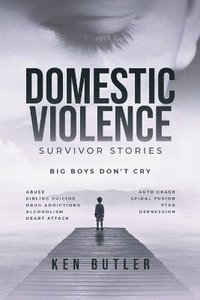 bokomslag Domestic Violence Survivor's Stories