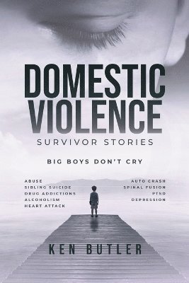 bokomslag Domestic Violence Survivor's Stories