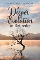 bokomslag Deeper Evolution of Reflection