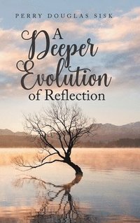 bokomslag Deeper Evolution of Reflection