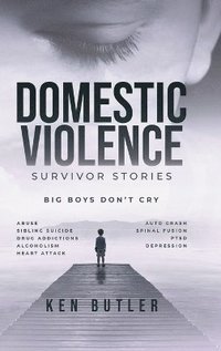 bokomslag Domestic Violence Survivor's Stories
