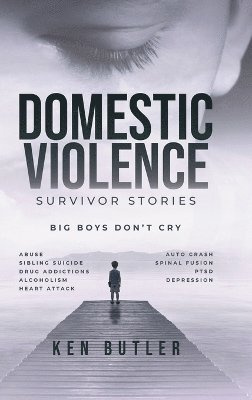 bokomslag Domestic Violence Survivor's Stories