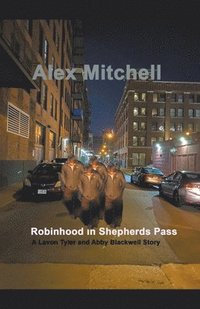 bokomslag Robinhood at Shepherds Pass