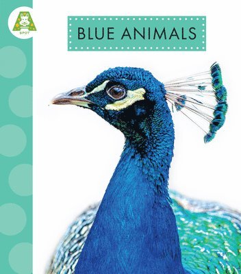 bokomslag Blue Animals