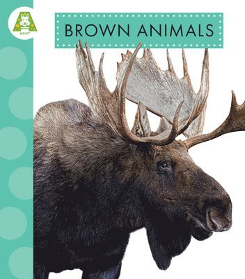 Brown Animals 1