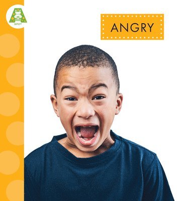 Angry 1