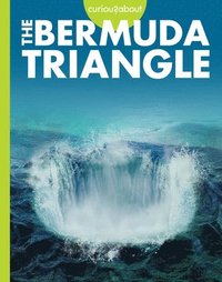 bokomslag Curious about the Bermuda Triangle