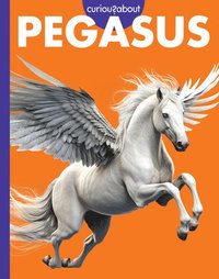 bokomslag Curious about Pegasus