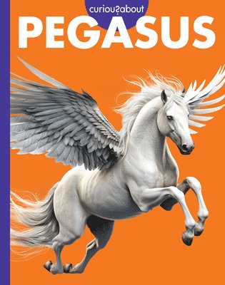 Curious about Pegasus 1