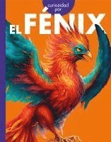 bokomslag Curiosidad Por El Fenix