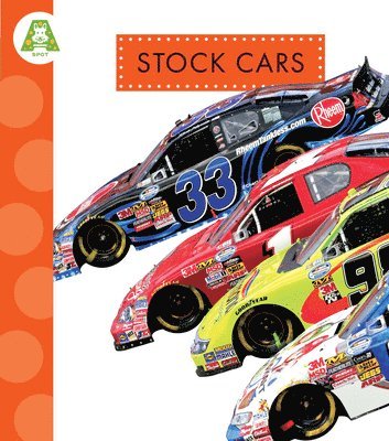 bokomslag Stock Cars