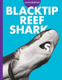 bokomslag Curious about Blacktip Reef Sharks
