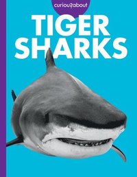 bokomslag Curious about Tiger Sharks