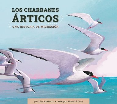 Lisa J. Amstutz - Los Charranes Árticos: Una Historia de Migración, Inbunden