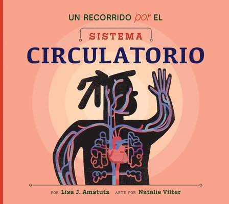 Un Recorrido Por El Sistema Circulatorio