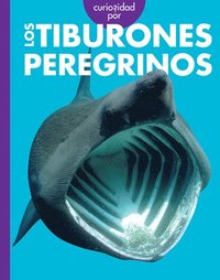 bokomslag Curiosidad Por Los Tiburones Peregrinos: Spanish Edition