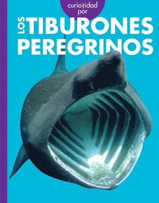 bokomslag Curiosidad Por Los Tiburones Peregrinos: Spanish Edition