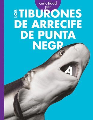 bokomslag Curiosidad Por Los Tiburones de Arrecife de Punta Negra: Spanish Edition