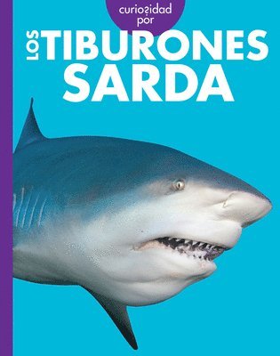 bokomslag Curiosidad Por Los Tiburones Sarda: Spanish Edition