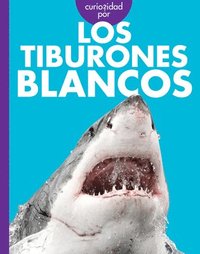bokomslag Curiosidad Por Los Tiburones Blancos: Spanish Edition
