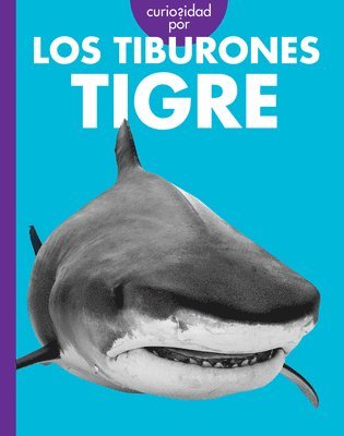 bokomslag Curiosidad Por Los Tiburones Tigre: Spanish Edition