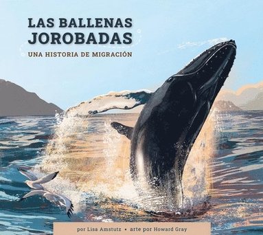 bokomslag Las Ballenas Jorobadas