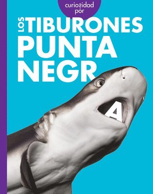 bokomslag Curiosidad Por Los Tiburones Punta Negra