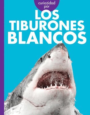 bokomslag Curiosidad Por Los Tiburones Blancos