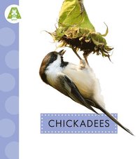 bokomslag Chickadees
