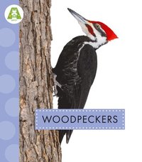bokomslag Woodpeckers