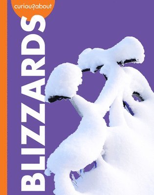 Rachel Grack - Curious about Blizzards, Inbunden. Tillgänglighet: Lägg i varukorg