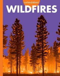 bokomslag Curious about Wildfires