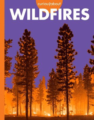 bokomslag Curious about Wildfires
