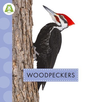 Anastasia Suen - Woodpeckers, Häftad