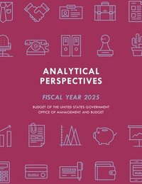 bokomslag Analytical Perspectives