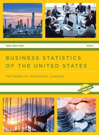 bokomslag Business Statistics of the United States