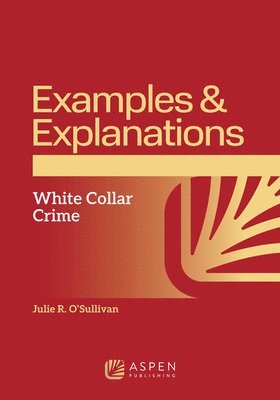 bokomslag Examples & Explanations: White Collar Crime