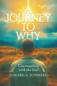 bokomslag Journey to Why