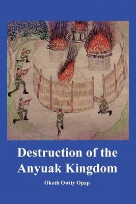 bokomslag Destruction of the Anyuak Kingdom