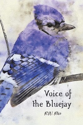 bokomslag Voice of the Bluejay