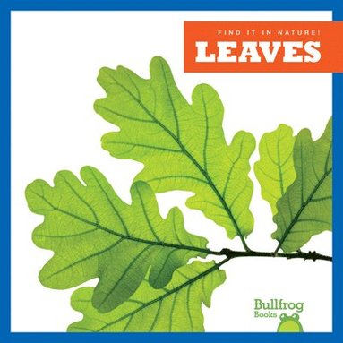 bokomslag Leaves