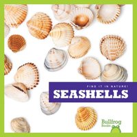 bokomslag Seashells